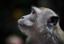 Beijing in One Building